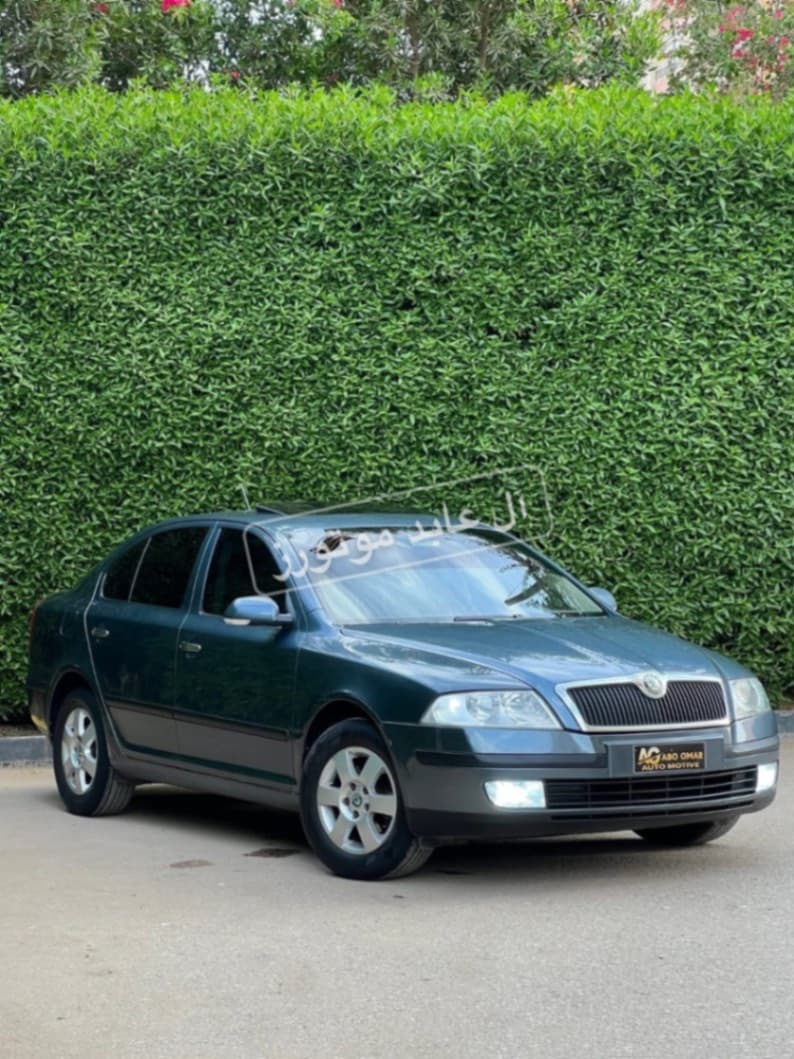 سكودا 2006 — صورة 1 من 13